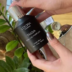 عطر خوشبو مردانه تایگاه تلخ و گرم