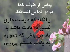 سیدی تنها به رنگ سبز نیست