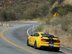 Ford shelby gt350r