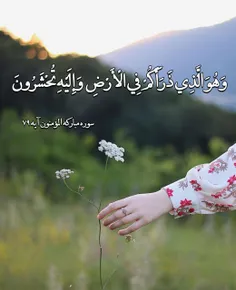 ✨ وَهُوَ الَّذِی ذَرَأَکُمْ فِی الْأَرْضِ 