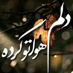 دلتنگی درد عجیبی ست ،آدم را...