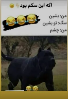 والا...گی جرات داره به این امر کنه😐😂😂😂