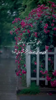 . سلام و ادب . ( سکوت سرشار از ناگفته هاست ) .