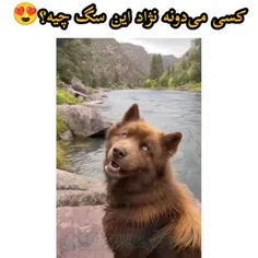 فقط چشاش😍😮😽