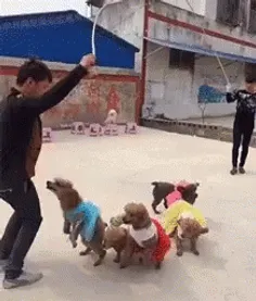 از این بازیا بکنید تو قرنطینه خوش باشید 😂😂🐶