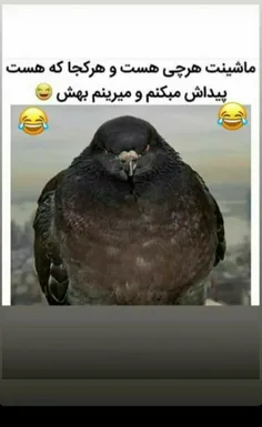 #اقای_چت