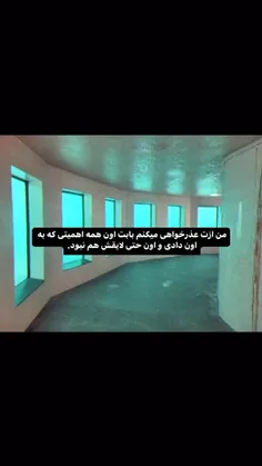 من ازت معذرت می‌خوام باسع؟!