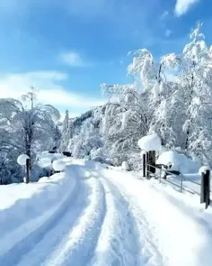 دنیا زیباست...❄