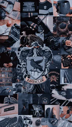 ravenclaw 🕊