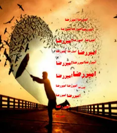 گوناگون amerreza1 12442051