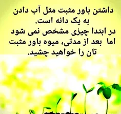 solimanahmadi44 56667701