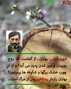 شهید آوینی: بهاران که از چوب خشکیده شکوفه و برگهای سبز می