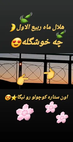 حلول ماه ربیع الاول مبارک😊