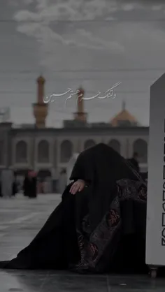 دلتنگ حرم هستم حسین...🖤