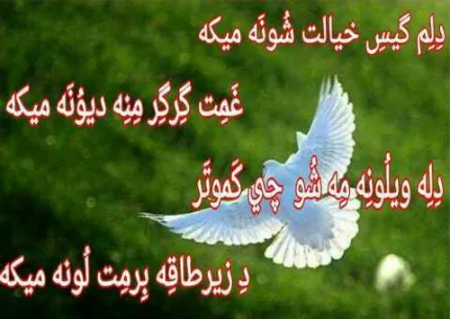 دس اشکسه کار میکه ولی دل اشکسه نه