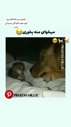 میخوای منه بخوری🥺🥺🤌