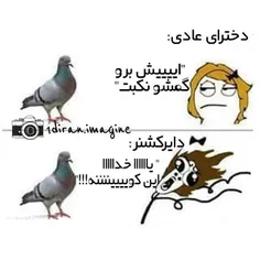 هههههههه
