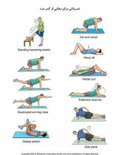 تمریناتی برای رهایی از کمر درد☝ ️