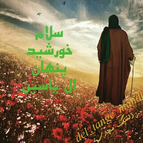 السلام علیک یا ابا صالح المهدی. .