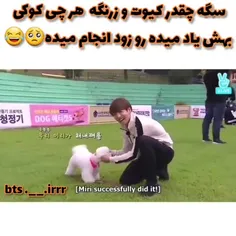 - kooki and dog are so cute and funny^-^🍓🐇