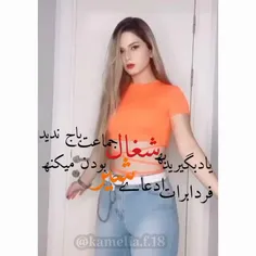 به شغال جماعت باج ندیدکه فرد ادعای شیربودن کنهkamelia