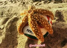 #volleyballi