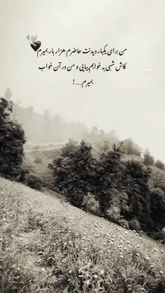 @دلتنگی....