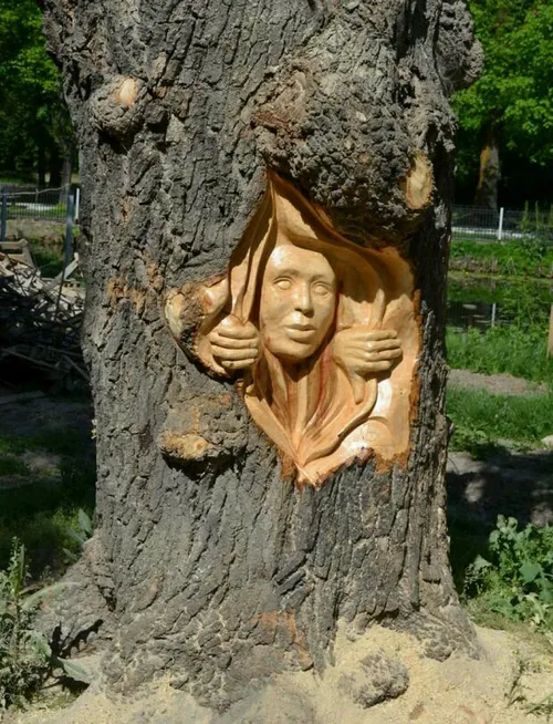 هنرنمایی با چوب ساخته شده توسط هنرمندی رومانیایی به نام گ