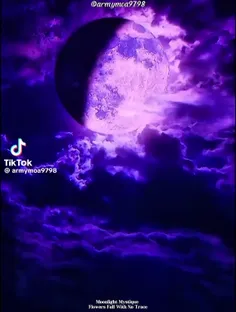 سریال چینی  رمز و راز مهتاب 