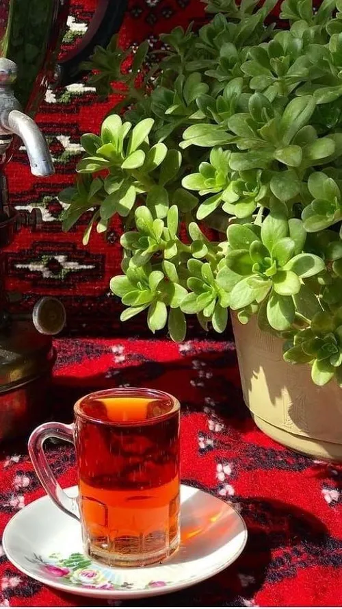 من هر آنجا که عشق بود،