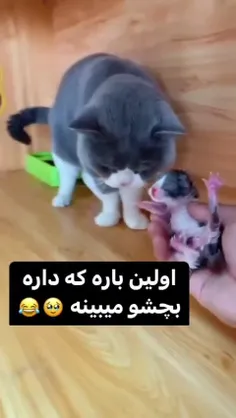 اولین باره بچه شو میبینه😂