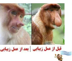 طنز و کاریکاتور hounam 1124056