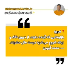 از مجموعه راه محمد آروین بازار های آینده از حشرات 