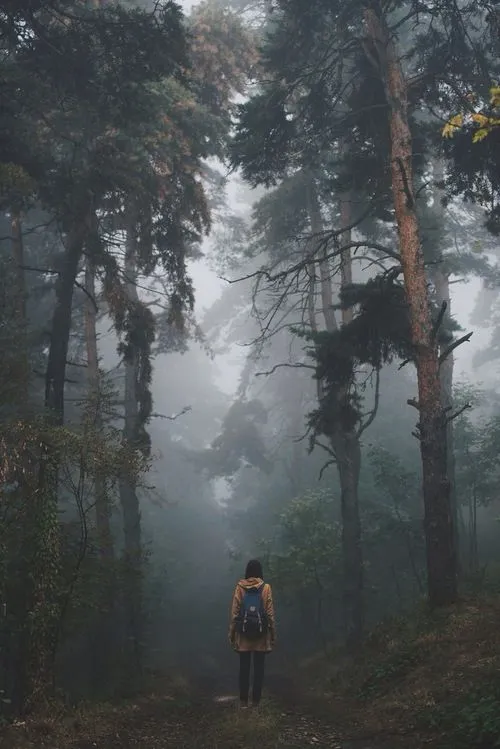 من با ی عالمه وحشت اع جنگل تاریک... - عکس ویسگون