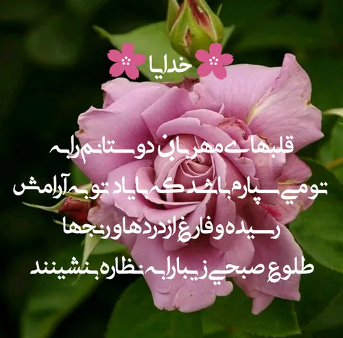 گوناگون nhf539 26441334 - عکس ویسگون