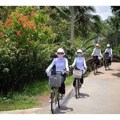 Nữ sinh miền Tây.