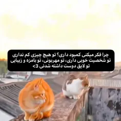 پس خودتو دست کم نگیر