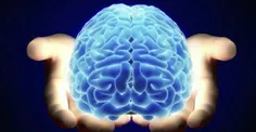 مغز تنها  ۲% از وزن بدن را تشکیل میدهد اما ۲۵٪ از اکسیژن 