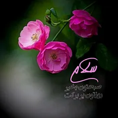 الهي در این صبح زیبا