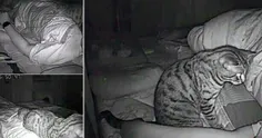 راز عجیب بدخوابی مرد جوان را ویدئوی ضبط‌شده دوربین فاش کر