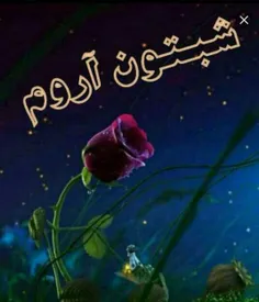 شب آرامشش را از خدا قرض گرفته که این چنین آرام است