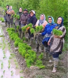 درودی داریم بر بانوان خستگی ناپذیر سرزمینمان...