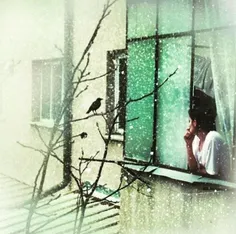 به پرنده های پشت پنجره ی اتاقت حسادت میکنم!