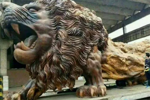 مجسمه عظیم یک شیر که از چوب یک درخت سکویای مرده کنده کاری