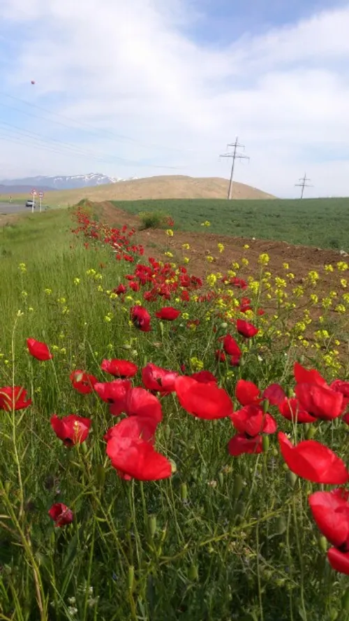 یاد کردستان بخیر سفر خاطره انگیزی بود اردیبهشت حتما برای 