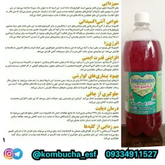 برخی از خواص قارچ و نوشیدنی ارگانیک کامبوجا (کامبوچا) قسم