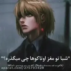 ذهن من هر شب