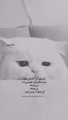 💛" همونجا که خدا میگه من نزد قلب های شکسته ام....