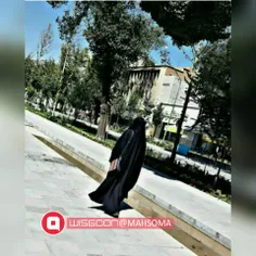 امروز هم به رخوت بی بادگی گذشت