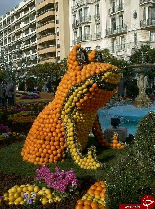 زیباترین مجسمه های میوه ای دنیا 😋